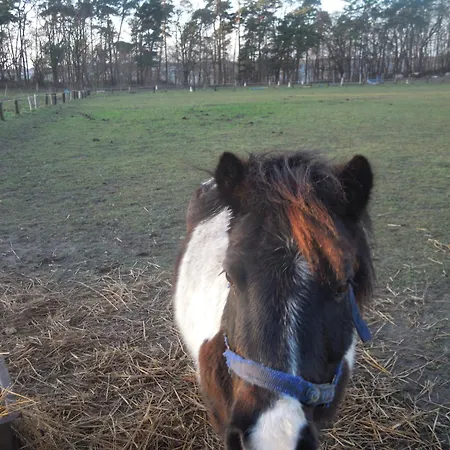 Stille Liebe Am Plauer Hébergement de vacances *