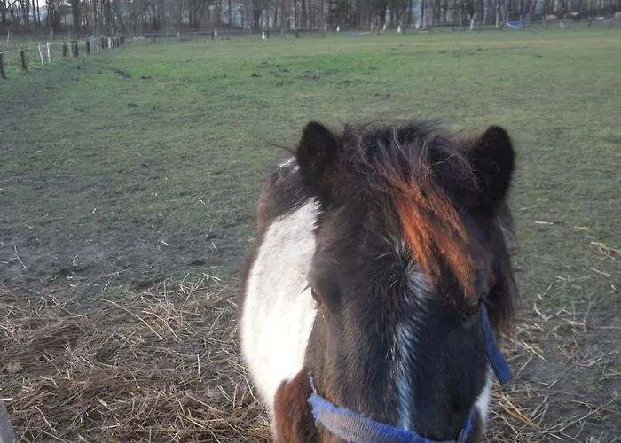 Stille Liebe Am Plauer Дом отдыха *